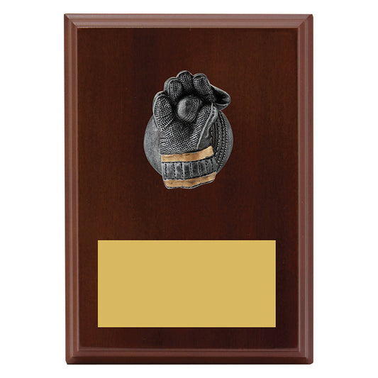 Plaque - Wicketkeeper