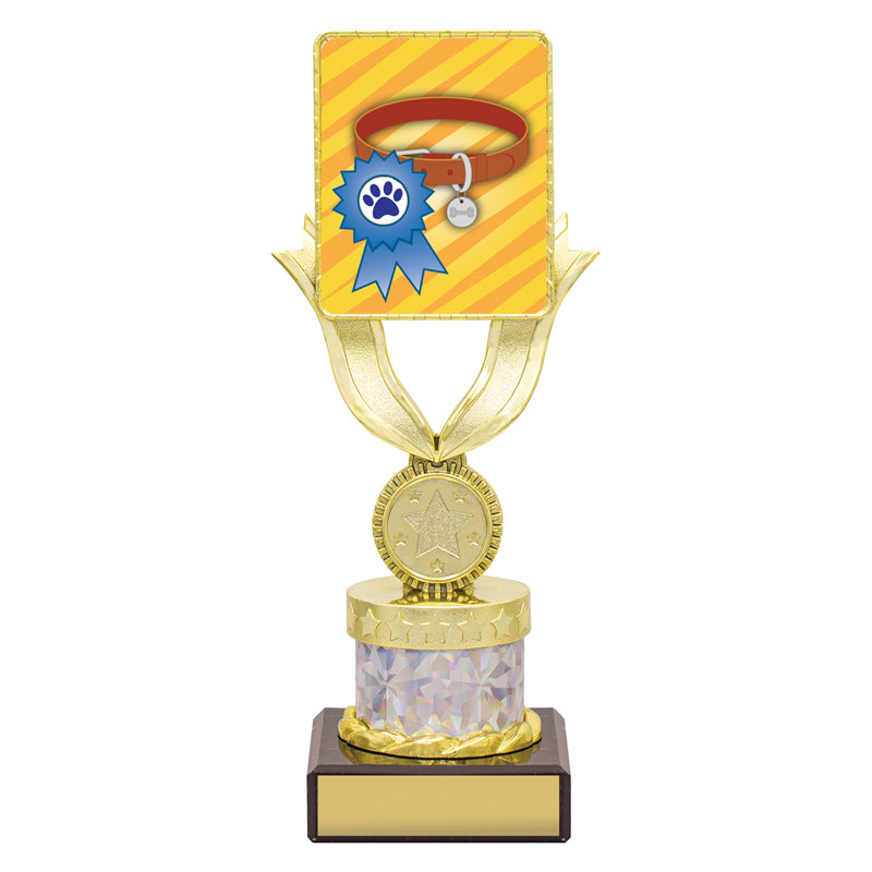 Lynx Dash - Ribbon & Collar Award