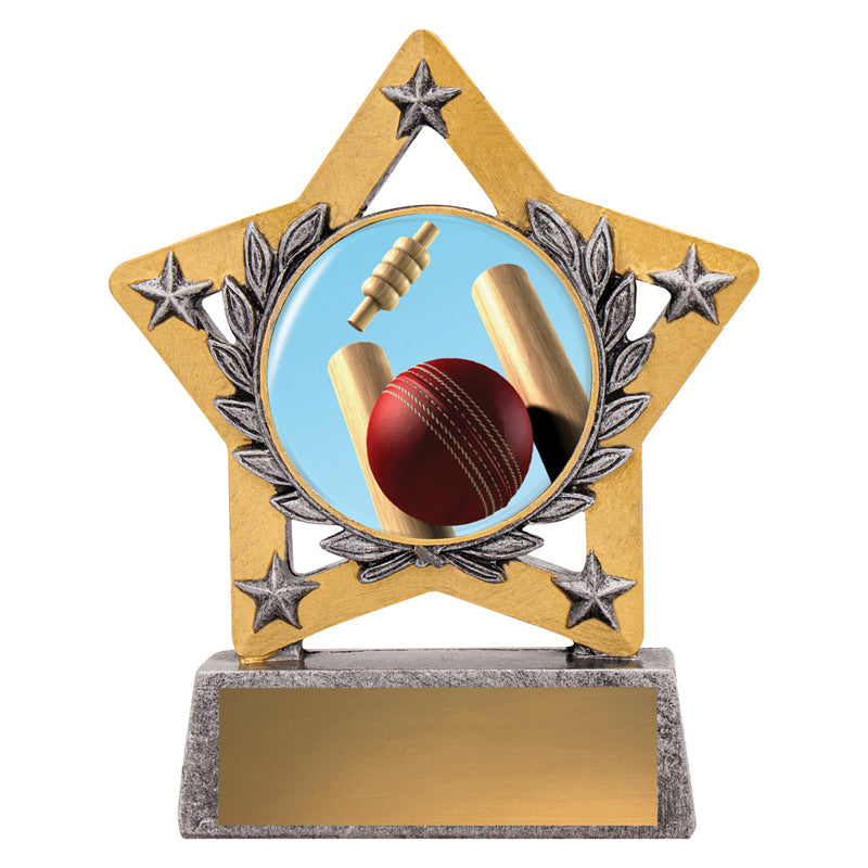Mini Star Colour - Cricket