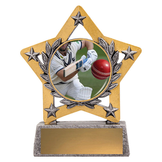 Mini Star Colour - Batting