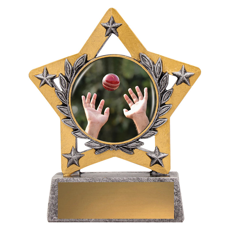 Mini Star Colour - Fielding