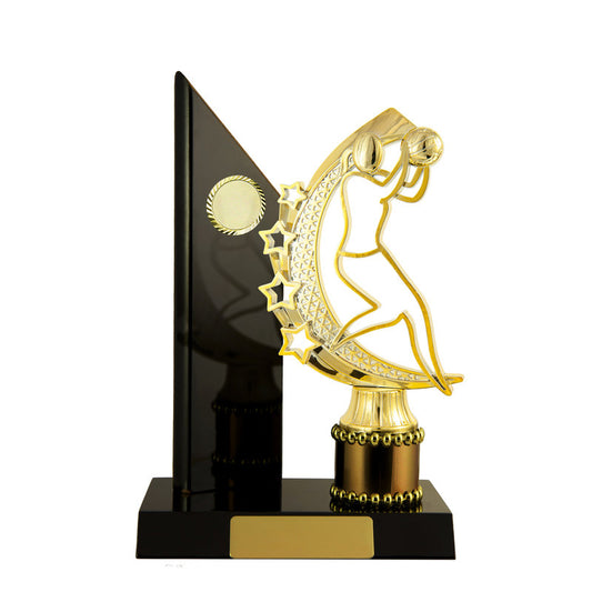 Timber Buildup Netball