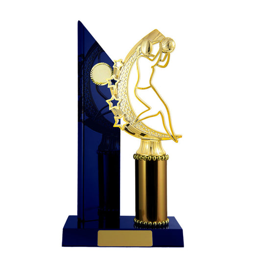 Timber Buildup Netball