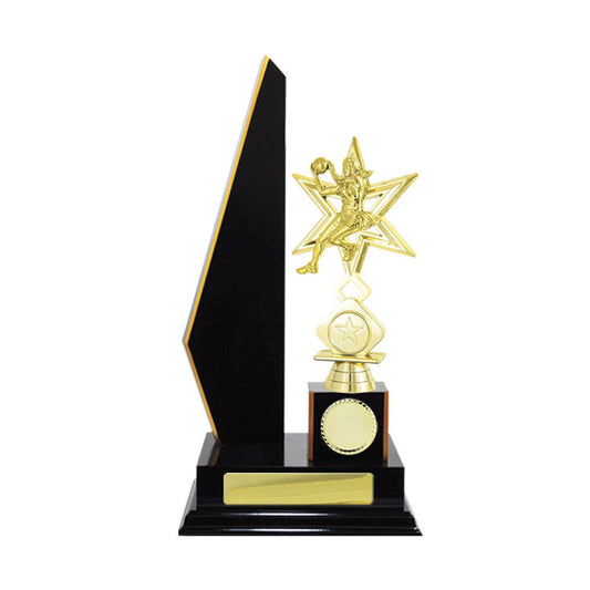 Timber Buildup Netball