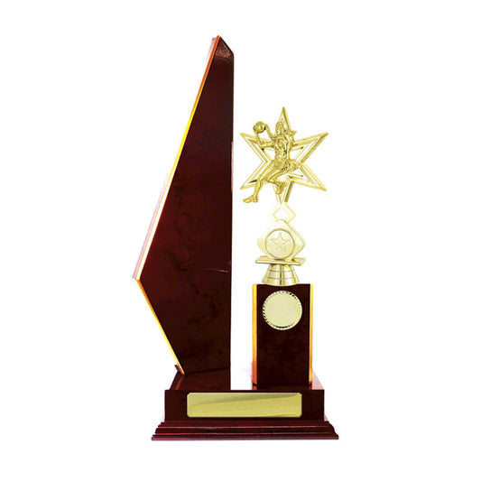 Timber Buildup Netball