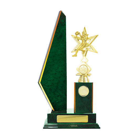 Timber Buildup Netball