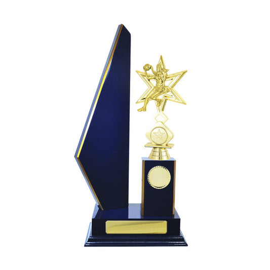 Timber Buildup Netball