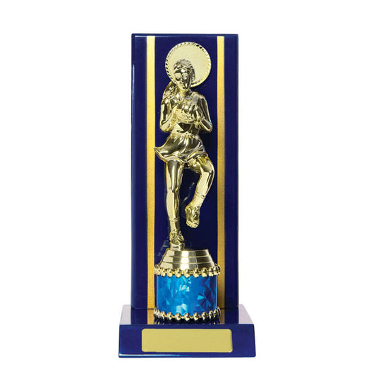 Timber Buildup Netball