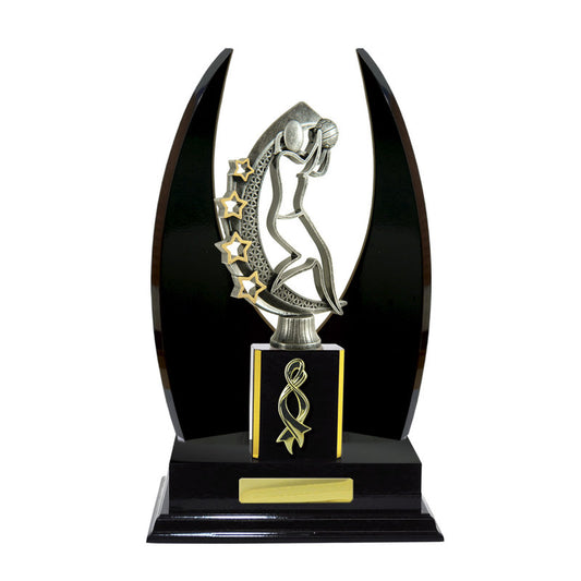 Timber Buildup Netball