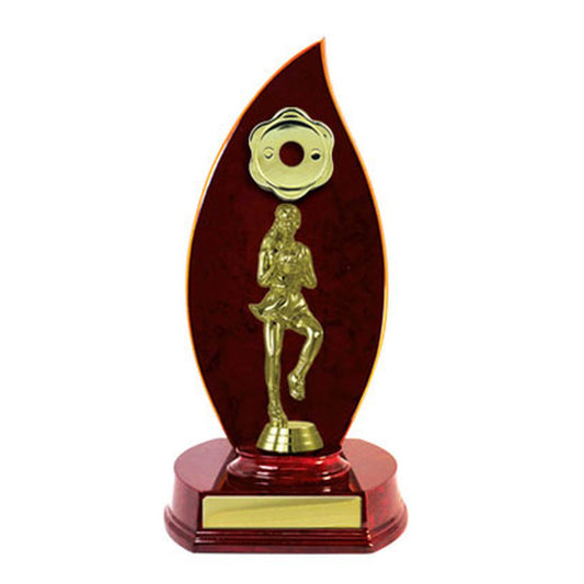 Timber Buildup Netball