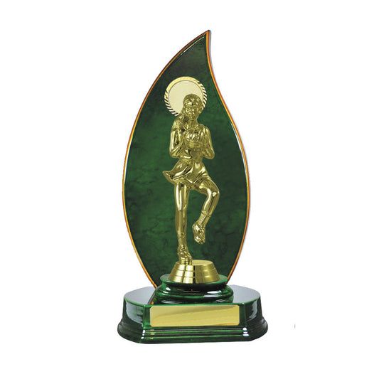 Timber Buildup Netball