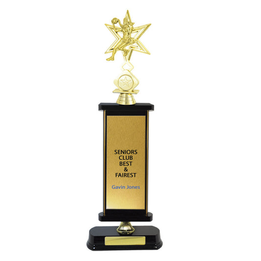 Timber Buildup Netball