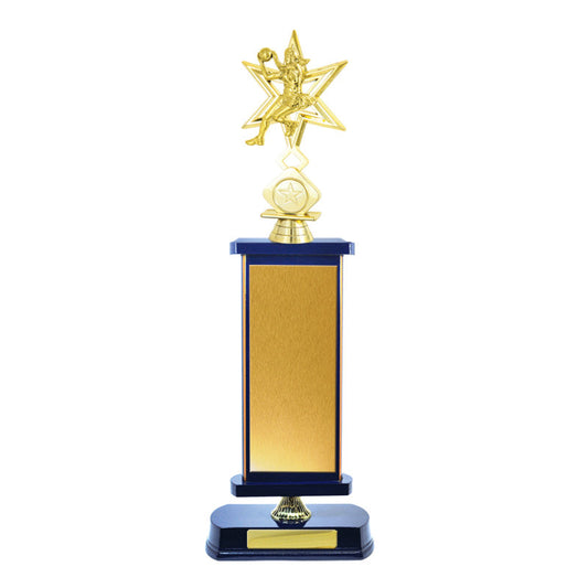 Timber Buildup Netball