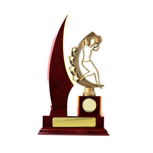 Timber Buildup Netball