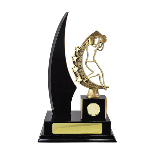 Timber Buildup Netball