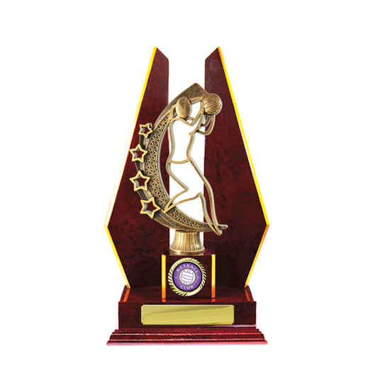 Timber Buildup Netball