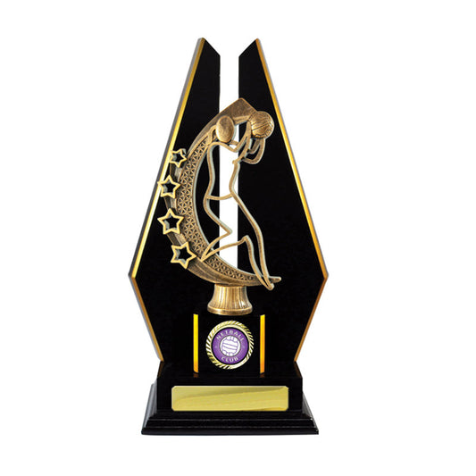 Timber Buildup Netball