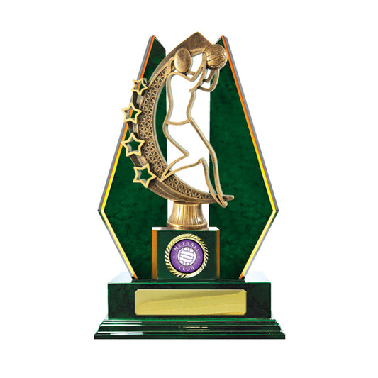 Timber Buildup Netball