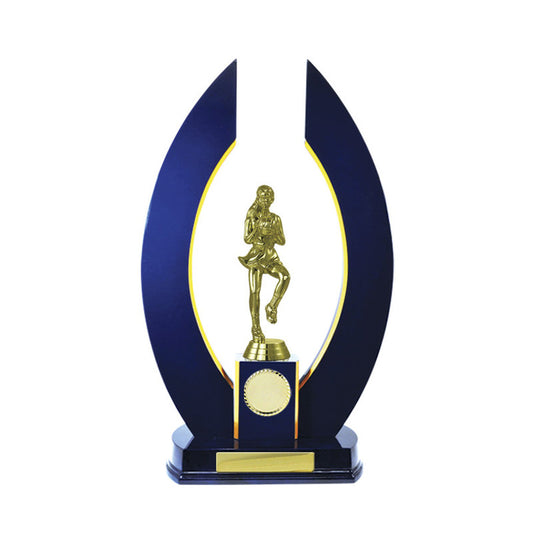 Timber Buildup Netball