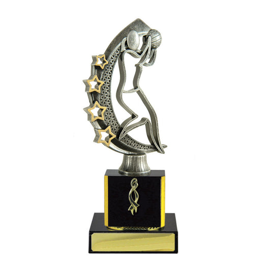 Timber Buildup Netball