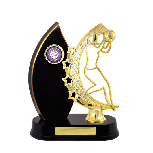 Timber Buildup Netball