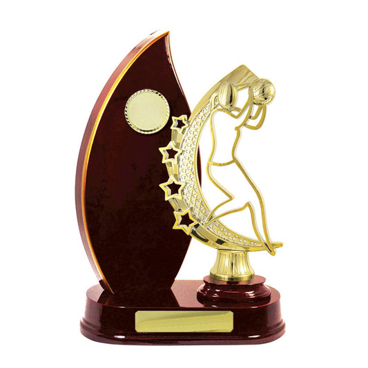 Timber Buildup Netball