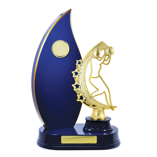 Timber Buildup Netball