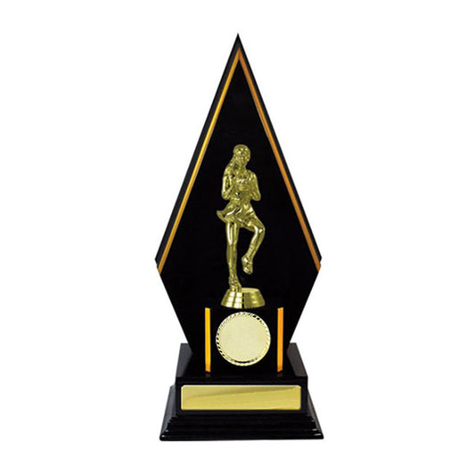 Timber Buildup Netball