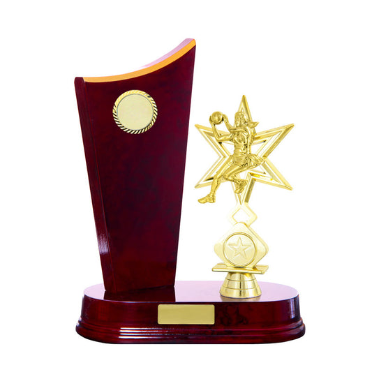 Timber Buildup Netball