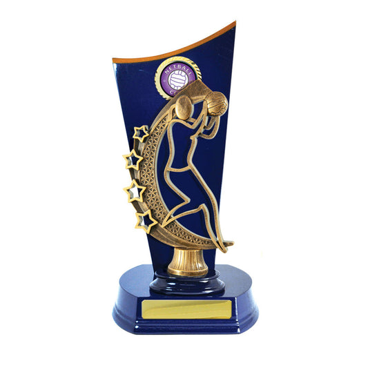 Timber Buildup Netball