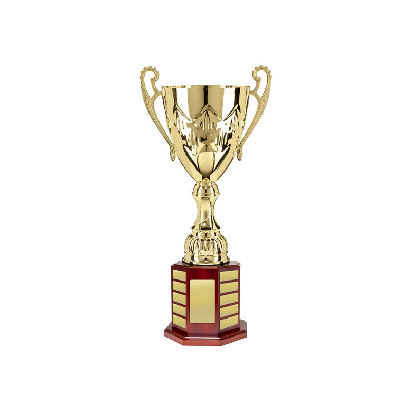 Cup on Perpetual Base
