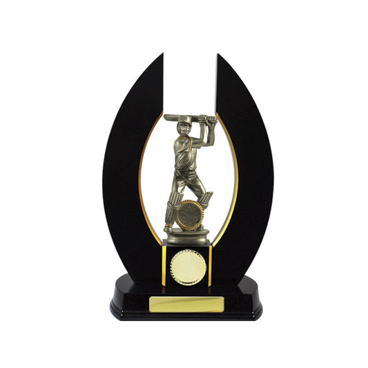 Timber Buildup Cricket