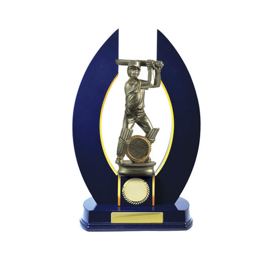 Timber Buildup Cricket