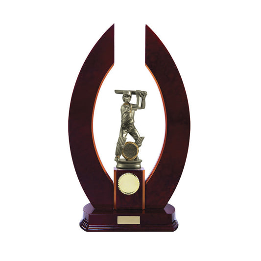 Timber Buildup Cricket