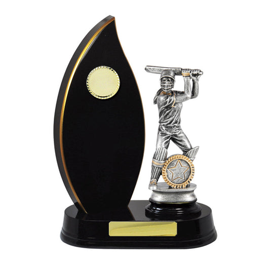 Timber Buildup Cricket