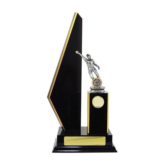 Timber Buildup Cricket