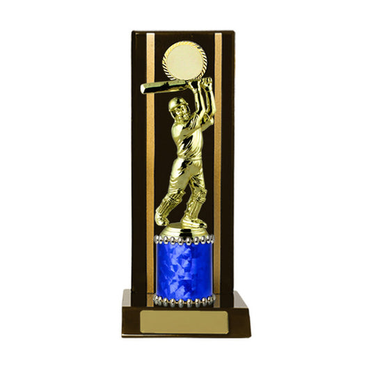 Timber Buildup Cricket