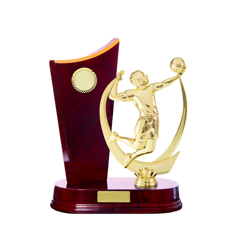 Timber Buildup Volleyball