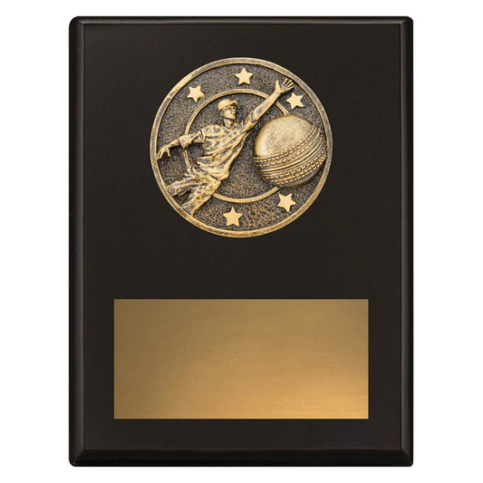 Challenge Plaque - Fielding