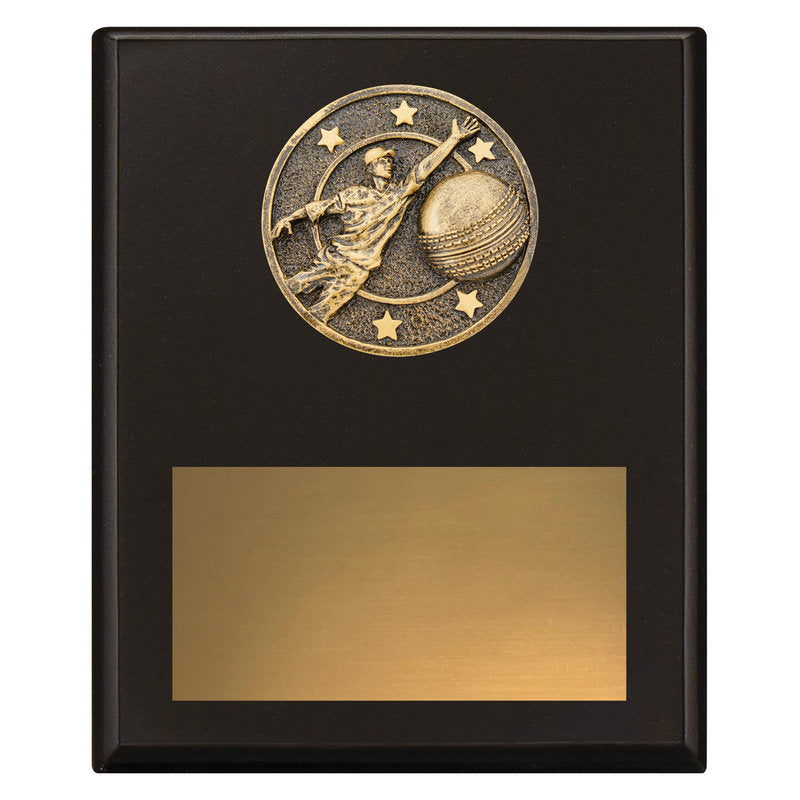 Challenge Plaque - Fielding