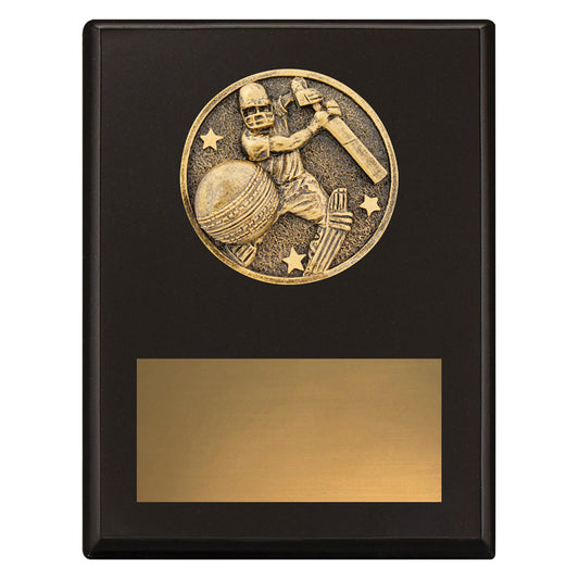 Challenge Plaque - Batting