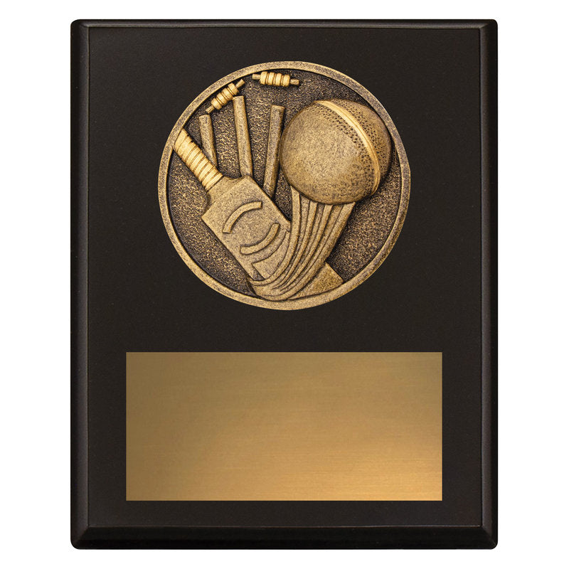 Challenge Plaque - Cricket