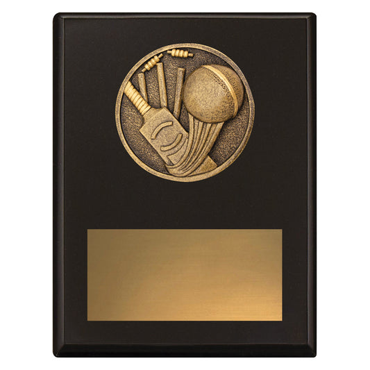 Challenge Plaque - Cricket