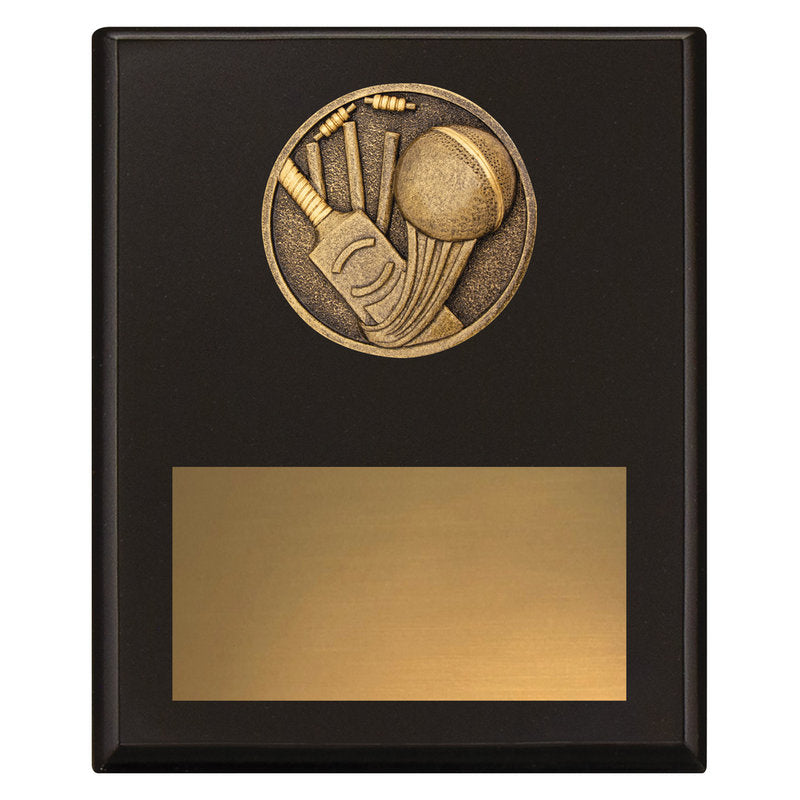Challenge Plaque - Cricket