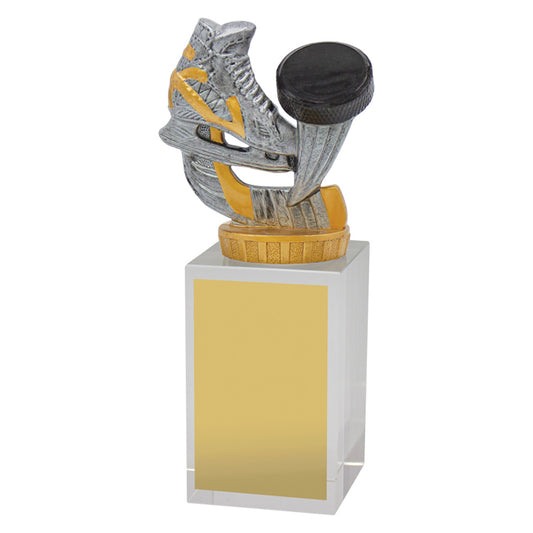 Ice Hockey Budget Crystal