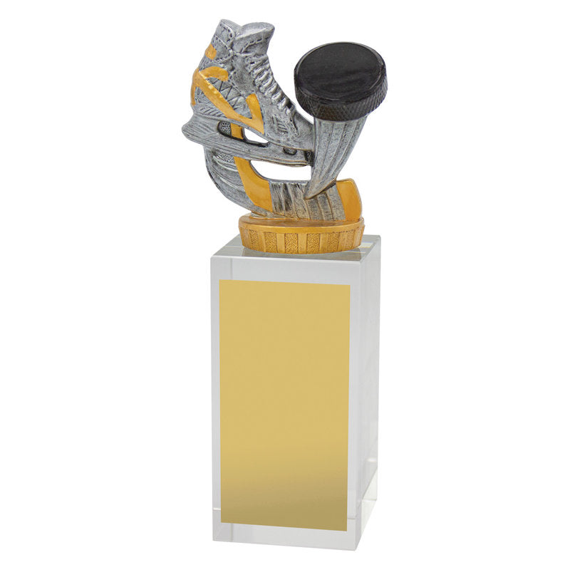 Ice Hockey Budget Crystal