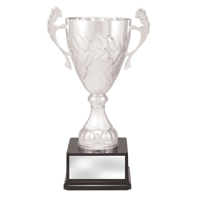 Silver Eternal Cups