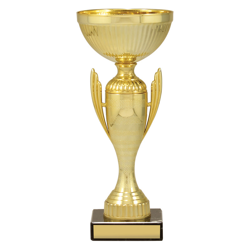 Guardian Cup