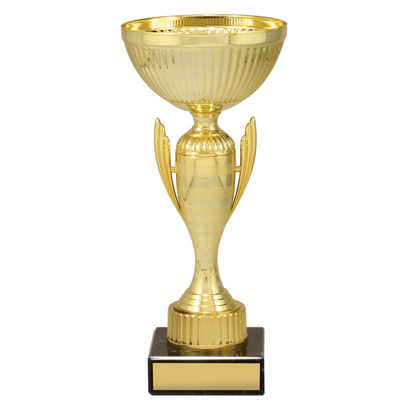 Guardian Cup