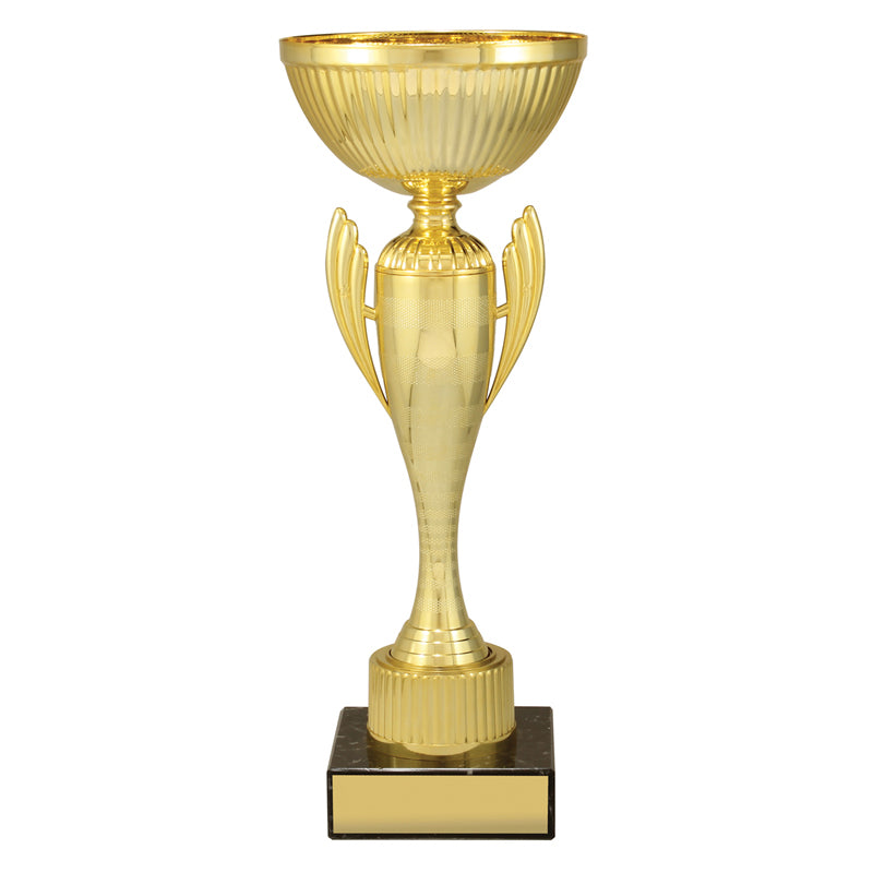 Guardian Cup